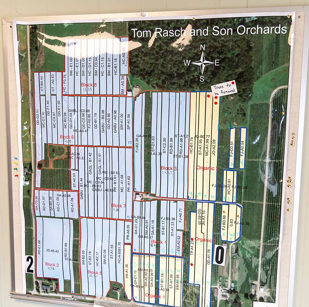 A map of Tom Rasch and Son Orchards in the farm office illustrates the gradual transition from conventional to organic. The yellow blocks are organic, the blue blocks conventional. The plan is for all of the blocks to become yellow, with all of the apples sold under the Third Leaf Farm label. (Matt Milkovich/Good Fruit Grower)