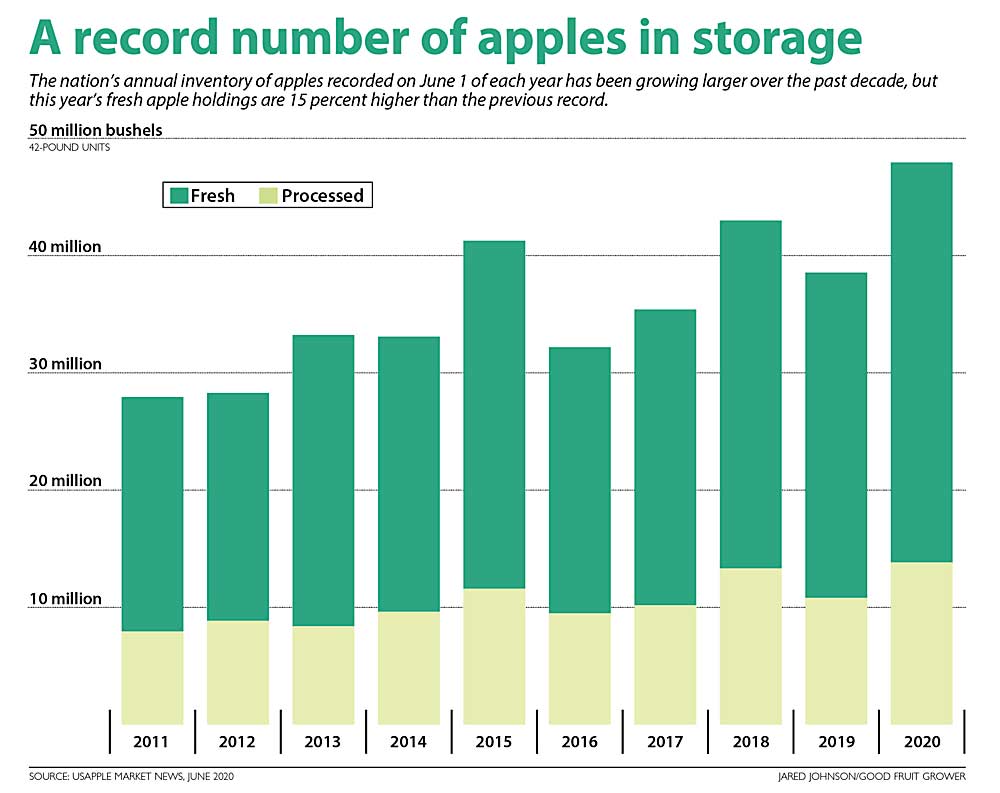 The nation’s annual inventory of apples recorded on June 1 of each year has been growing larger over the past decade, but this year’s fresh apple holdings are 15 percent higher than the previous record. (Source: USApple Market News, June 2020<br /> Graphic: Jared Johnson/Good Fruit Grower)