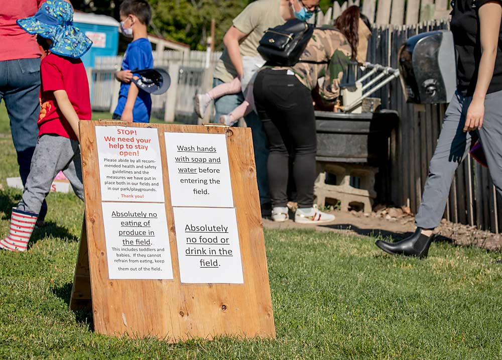 Visitors to U-pick farms follow new guidelines in an effort to prevent the spread of the coronavirus, such as using required handwashing stations at Bill’s Berry Farm in Grandview, Washington, shown here on June 18, 2020. The majority of customers have cooperated with the new expectations, U-pick owners report. (TJ Mullinax/Good Fruit Grower)