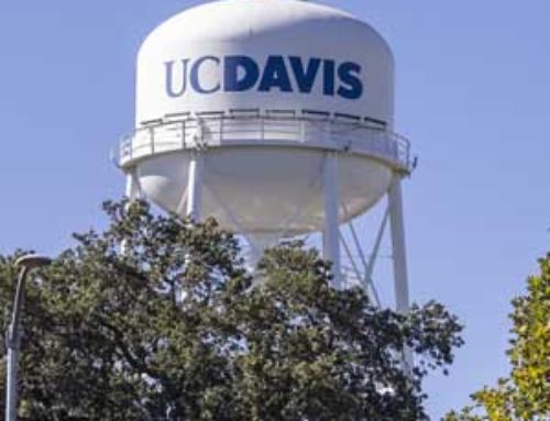 UC Davis to build new greenhouse to protect U.S. grapevine collection