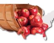 USA apples