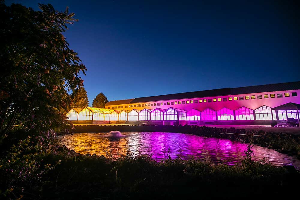 The U.S. Department of Agriculture, Agricultural Research Service building in Wapato, Washington, is illuminated with greenhouse lights. Although this facility is just 24 years old, ARS scientists have been stationed in the Yakima Valley for 100 years. (TJ Mullinax/Good Fruit Grower)