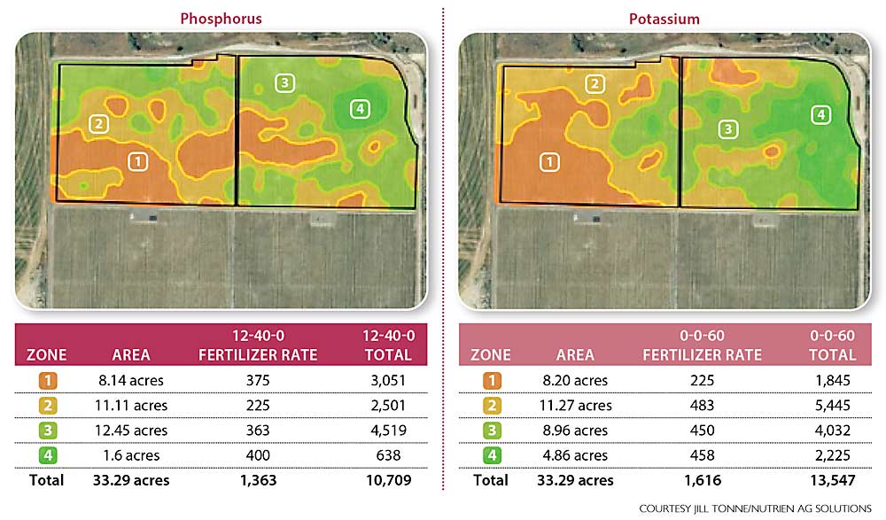 These maps show the variability in soils in an apple orchard for both phosphorus, at left, and potassium, at right, which are derived from scanning the block with a SoilOptix sensor and taking traditional samples for analysis. Nutrien agronomist Jill Tonne used these maps to set a variable-rate application plan to bring up the performance of weak spots in the block. Units are pounds per acre and total pounds. (Courtesy Jill Tonne/Nutrien Ag Solutions)