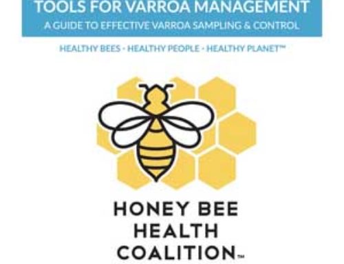 Honey Bee Health Coalition releases updated varroa mite management guide