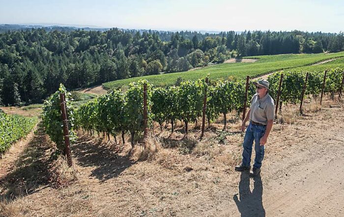 Like many of the destination wineries in Oregon’s Willamette Valley, Fairsing Vineyard in Yamhill is scenic and meticulously managed, but the steep slopes and high-density planting leave few options for mechanization as vineyard owners face rising labor costs, according to Daniel Fey, president of vineyard management company Results Partners. (TJ Mullinax/Good Fruit Grower)