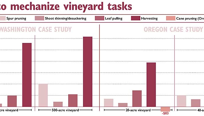 Case studies of two large Washington vineyards and two smaller Oregon vineyards found that growers who purchase machines to mechanize common tasks will see savings compared to those who rely on hand labor. Mechanized harvesting offers the biggest return, with a profitability result of over $1,200 per acre each year in both a 500-acre vineyard and a 40-acre vineyard. Cane pruning was the only task not suited to mechanization. (Source: Clark Seavert, Oregon State University Graphic: Jared Johnson/Good Fruit Grower)