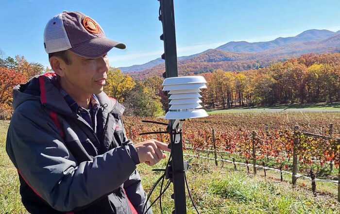 Virginia Tech grape pathologist Mizuho Nita installs a weather station at Veritas Vineyards and Winery in Afton, Virginia. The stations are connected to Cornell University’s NEWA network, which tracks weather patterns across the Northeast and mid-Atlantic. (Courtesy Bill Tonkins/Veritas Vineyard)
