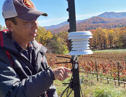 Delivering data across Virginia vineyards