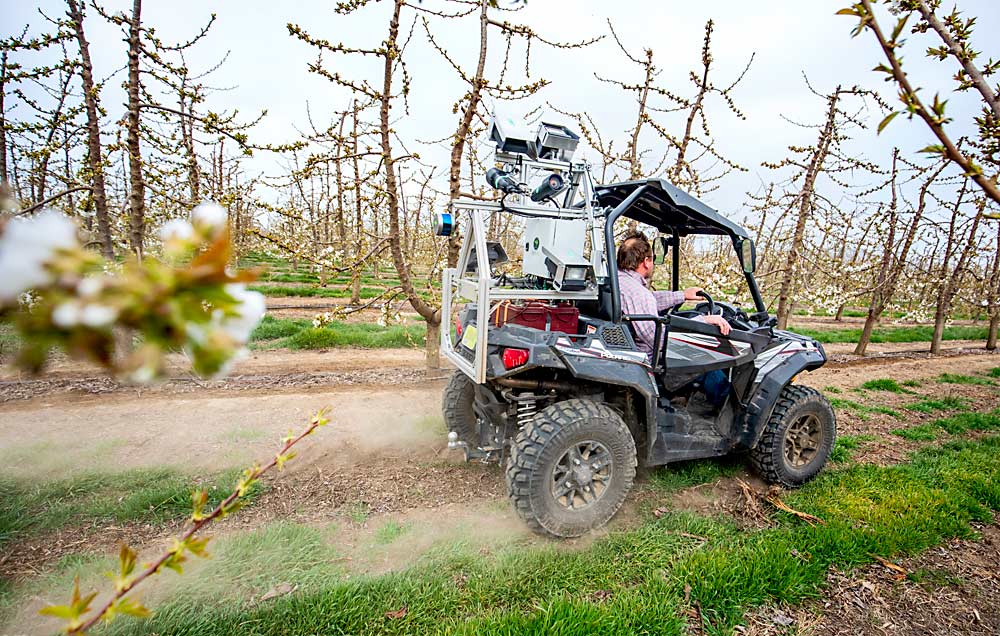 As vision systems become more sophisticated, researchers and developers envision potential uses throughout the growing season. Here, the Green Atlas Cartographer scans a cherry block in Washington’s Yakima Valley in April as part of a pollination trial to see if fruit set has increased. (TJ Mullinax/Good Fruit Grower)