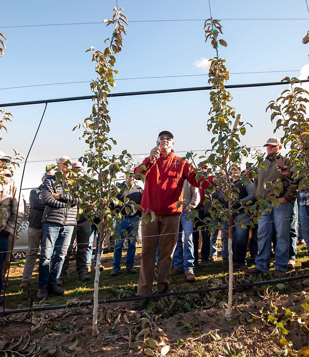 A heavy research investment from the industry supported the rollout of the WA 38. Here, Stefano Musacchi, endowed chair of tree fruit physiology and management at Washington State University, discusses WA 38 pruning and training strategies during a 2018 field day at Monson Fruit Co. (TJ Mullinax/Good Fruit Grower)