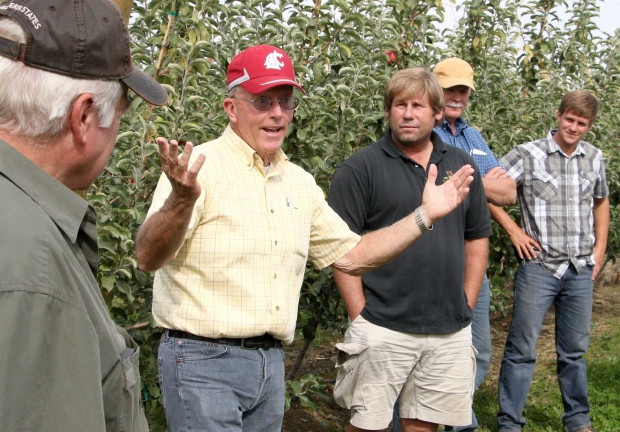 Several growers listen to Tom Auvil, Washington Tree Fruit Research Commission, talk about WA 38 during a preharvest preview of the variety in Prosser, Washington on September 17, 2014. Twenty four winners were announced for an opportunity to grow the first trees, including Mark Hanrahan, who is standing right of Auvil.<b> (TJ Mullinax/Good Fruit Grower)</b>