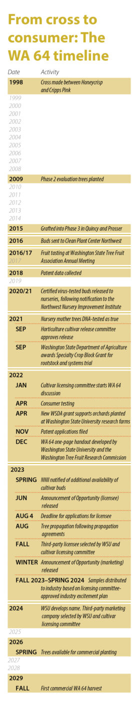 A timeline of the WA 64 apple cultivar's development. (Jared Johnson/Good Fruit Grower)