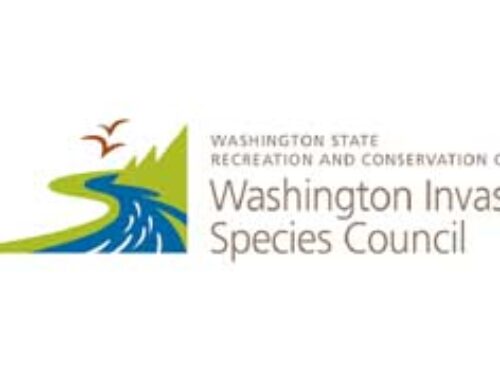 Webinar on Washington’s spotted lanternfly action plan June 5