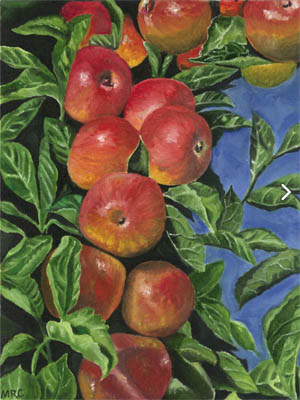 “Ascending Apples” by Macie Cowan won the grand prize in the Washington Apple Education Foundation's annual Year of the Apple Art Contest. (Courtesy Washington Apple Education Foundation)