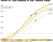 The difference between warm (2015) and cool (2011) years has big impacts on vineyard management, from timing of bloom and harvest to making efficient use of your workforce and controlling pests. (Chart shows accumulated growing degree days measured at research vineyard in Prosser, Washington) Source: Washington State University Irrigated Agriculture Research and Extension Center