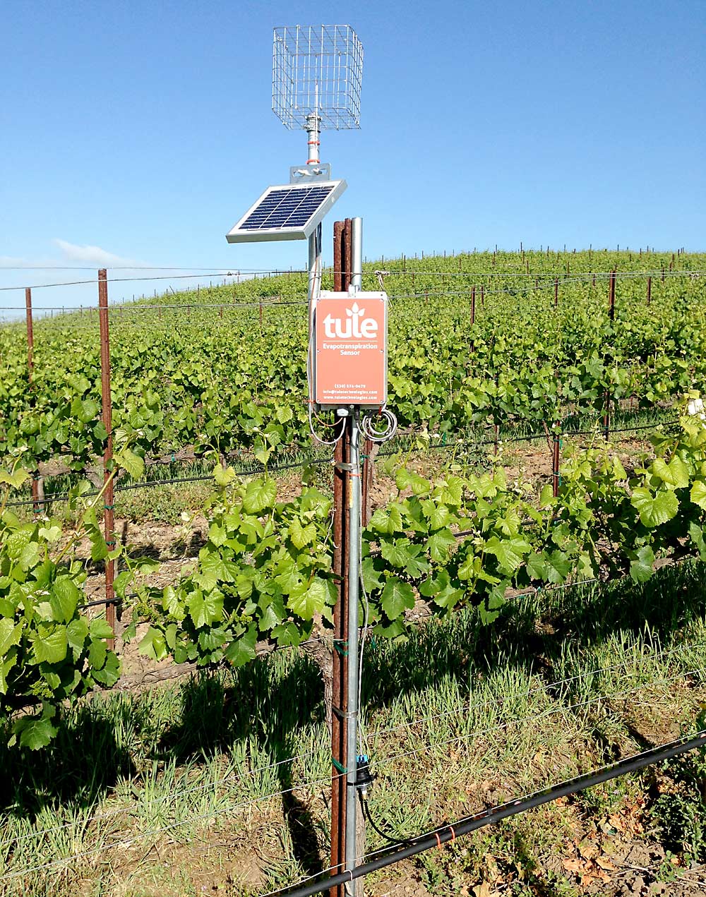 The Tule Technology system measures the actual evapotranspiration from a given block, helping growers to decide when and how much to irrigate, according to founder Tom Shapland. (Courtesy Tule Technology)