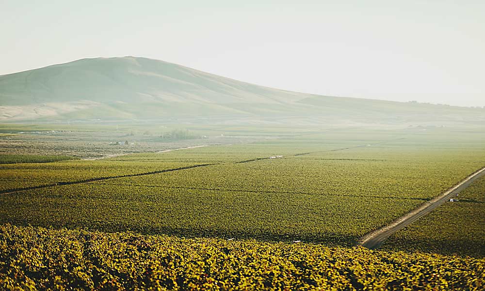The Goose Gap American Viticultural Area is Washington state’s 19th AVA and lies within the Yakima Valley AVA. (Courtesy Darren Zemanek)