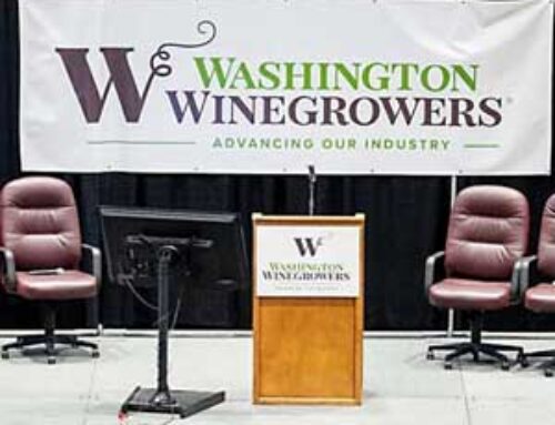 Frei: Shaping the future of the Washington wine industry