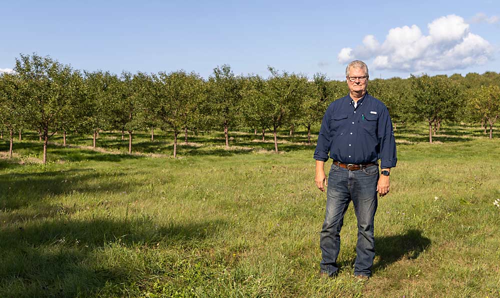 Jim Seaquist stands in a block of tart cherries near the northern tip of Wisconsin’s Door Peninsula in August 2021. Seaquist is the largest grower of tart cherries on the peninsula. His family’s roots in the area go back to the 1860s. (Matt Milkovich/Good Fruit Grower)