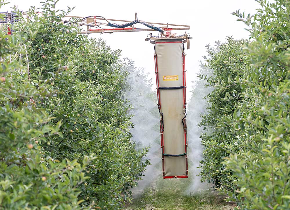 The Munckhof sprayer applies water to the Gala block during the July demonstration of precision spraying capabilities. With help from drone imagery and analysis from Aurea Imaging, Wittenbach had used the sprayer in June to apply Apogee to even out tree sizes within the block. (Matt Milkovich/Good Fruit Grower)