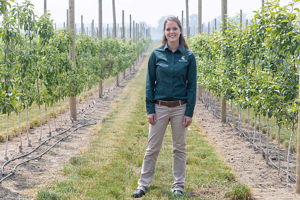 MSU tree fruit educator Emily Lavely is working with Younsuk Dong to test drip irrigation scheduling. Growers in her region of West-central Michigan are drip-irrigating their new high-density apple blocks, and they want to know the best ways to do so in sandy soils. (Matt Milkovich/Good Fruit Grower)