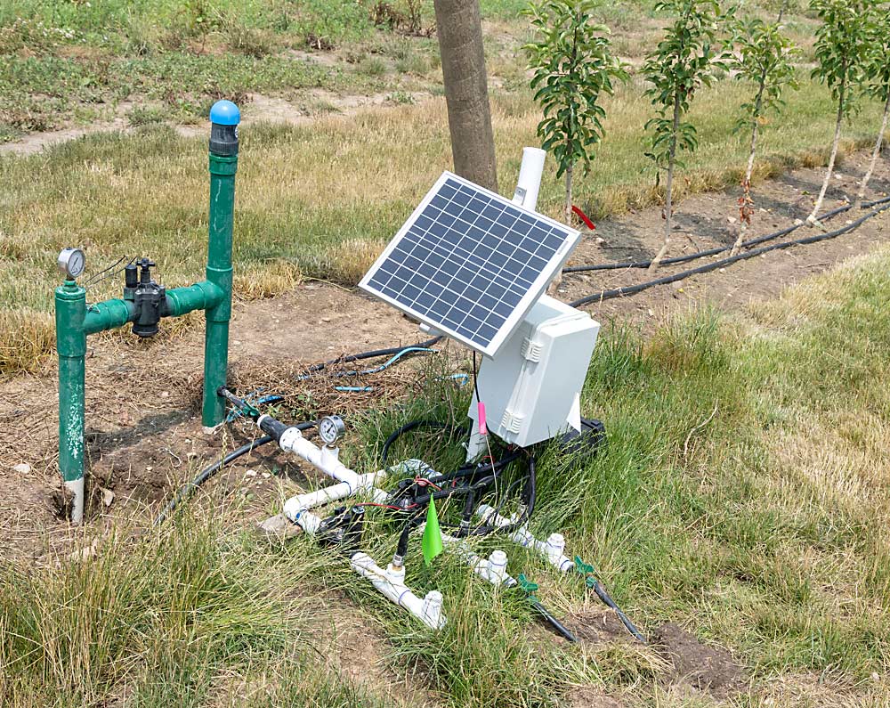 The trickle irrigation system at MSU’s high-density apple block in Hart, growing in sandy soils common in the region. The solar panel charges the battery that controls the solenoid valves that turn the water on and off. (Matt Milkovich/Good Fruit Grower)
