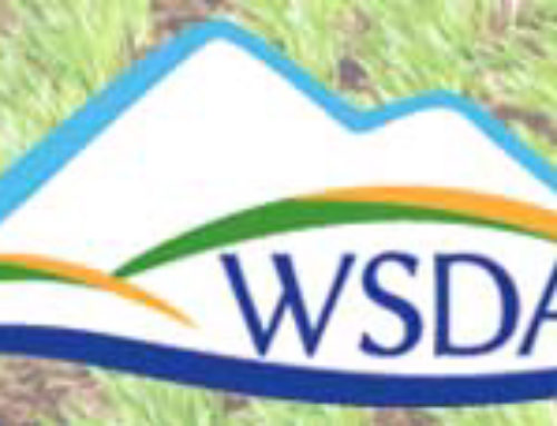Washington specialty crop farms eligible for new program with free consulting, deadline Dec. 15
