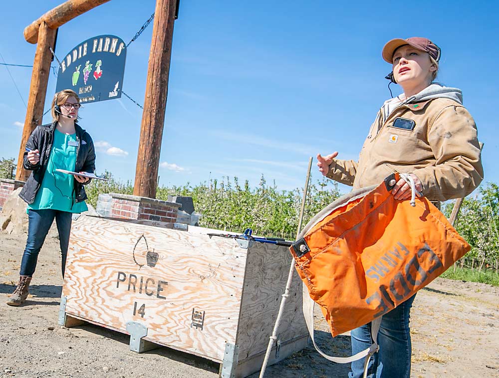 The first year of on-farm inspections under the Food Safety Modernization Act focused on education, not enforcement, as demonstrated at this readiness review and training coordinated by Washington State Department of Agriculture and Eddie Farms in Grandview, Washington, in May 2019. Many tree fruit industry resources are available to help growers and packers navigate the regulatory requirements. (TJ Mullinax/Good Fruit Grower)