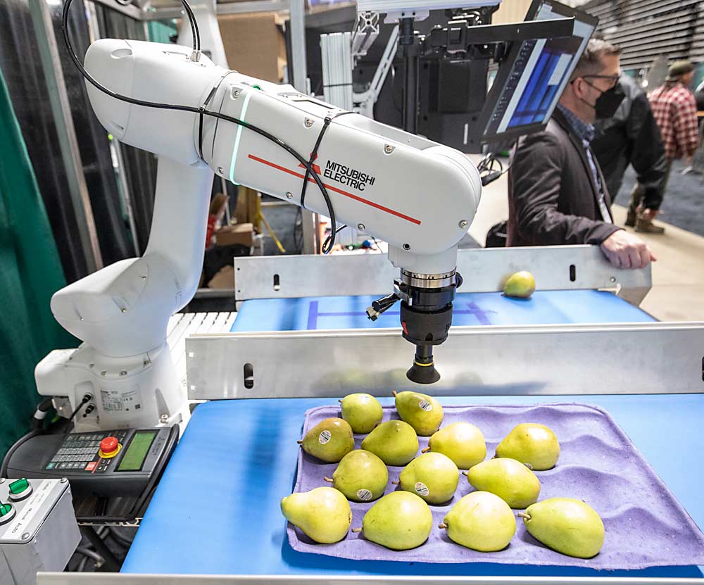 One of several robotic devices on display at the first day of the Washington State Tree Fruit Association's NW Hort Expo on Monday, December 6, 2021 at the Yakima Valley SunDome in Yakima, Washington. This small robotic Mitsubishi arm tray packs pears from Haley Manufacturing. (TJ Mullinax/Good Fruit Grower)