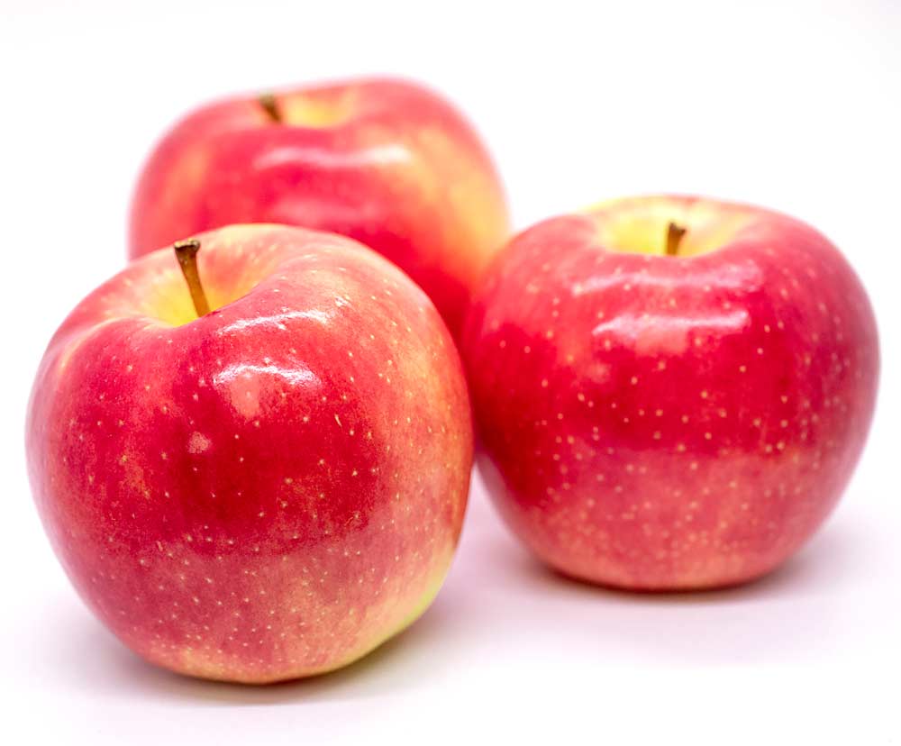 An advanced selection from the Washington State University apple breeding program, photographed in 2019. (TJ Mullinax/Good Fruit Grower)