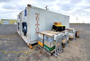 Washington State University entomologists are studying how honey bee colonies react when stored in dark, cold chambers, such as these two cargo containers, shown in January near Othello. Hives inside are monitored with the same scales and CO2, humidity and temperature sensors as the hives outside, which serve as a control group. (Courtesy Brandon Hopkins/Washington State University)