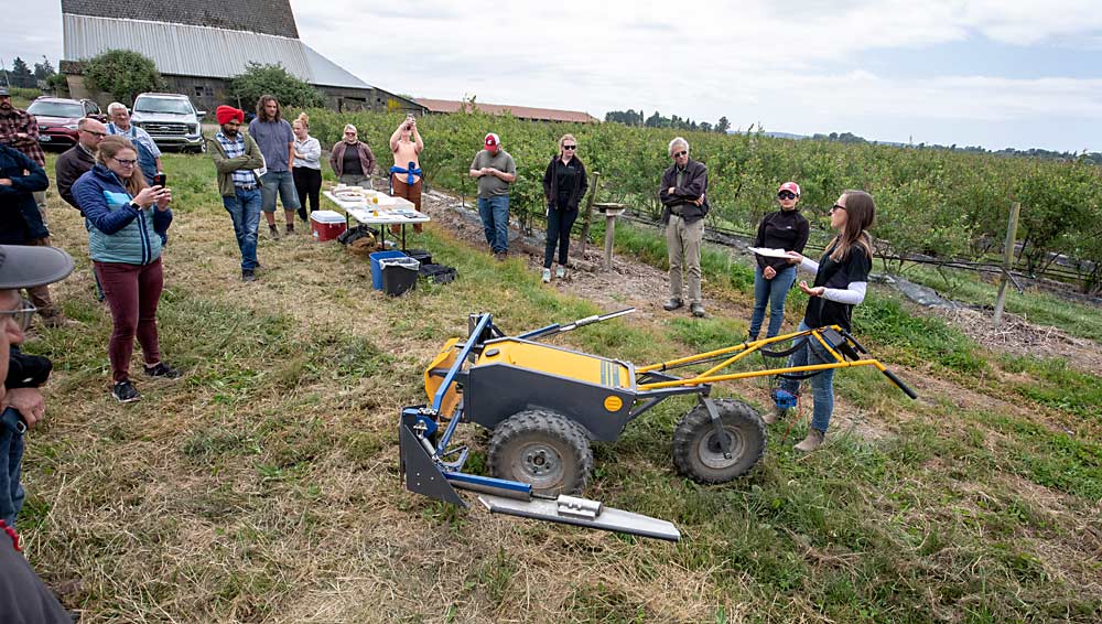 Washington State University's Lisa Wasko DeVetter (right) and Driscoll's Brenda Madrid discuss trials exploring the use of BloomX's Robee, which uses vibration to stimulate pollination in blueberry blossoms.  The technology demo was part of a field day at a western Washington farm that hosted the US Highbush Blueberry Council's BerrySmart project.  (TJ Mullinax/Good Fruit Producer)