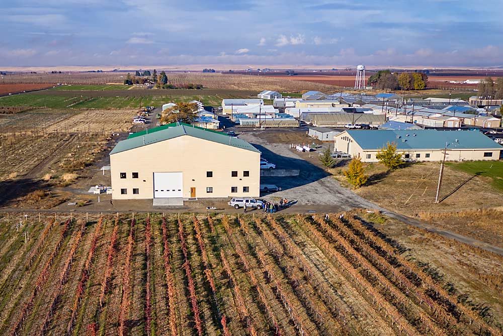 Washington State University’s Irrigated Agriculture Research and Extension Center in Prosser, Washington, is the largest and most diverse center in the WSU system and a leader in innovations for the future of agriculture. The campus is seen here, photographed by drone for a group photo during a 2017 workshop on the use of unmanned aerial vehicles in agriculture, hosted by the Center for Precision & Automated Agricultural Systems. (TJ Mullinax/Good Fruit Grower)
