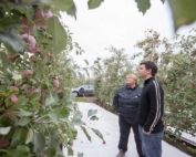Karen Lewis, WSU tree fruit regional extension specialist, gives Rob Blakey, the extension’s most recent hire, a tour of several orchards around Pasco, Washington, in mid-October. TJ Mullinax/Good Fruit Grower