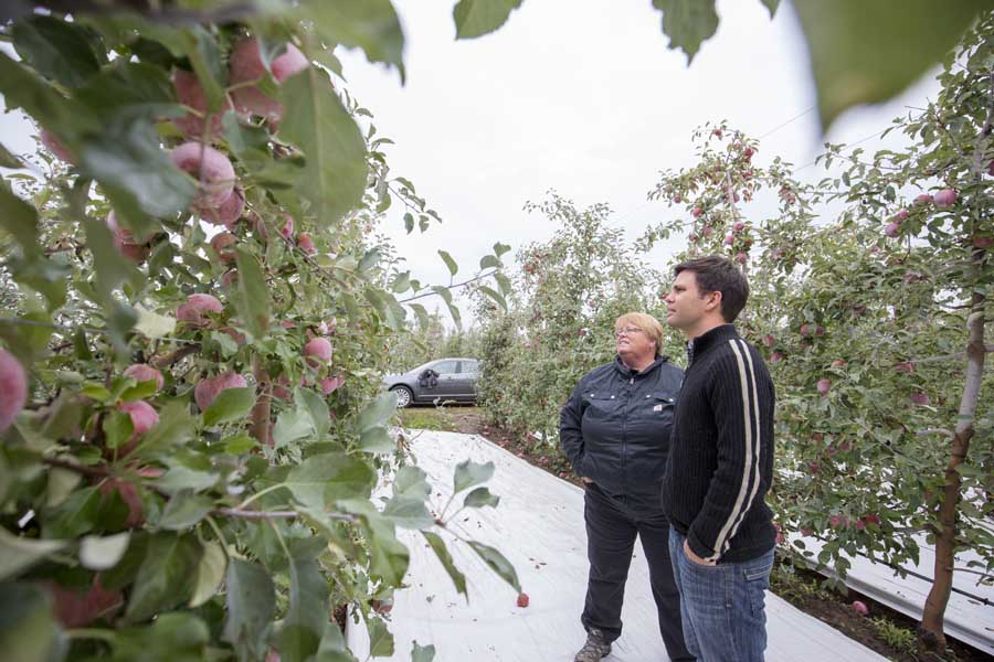 Karen Lewis, WSU tree fruit regional extension specialist, gives Rob Blakey, the extension’s most recent hire, a tour of several orchards around Pasco, Washington, in mid-October. TJ Mullinax/Good Fruit Grower