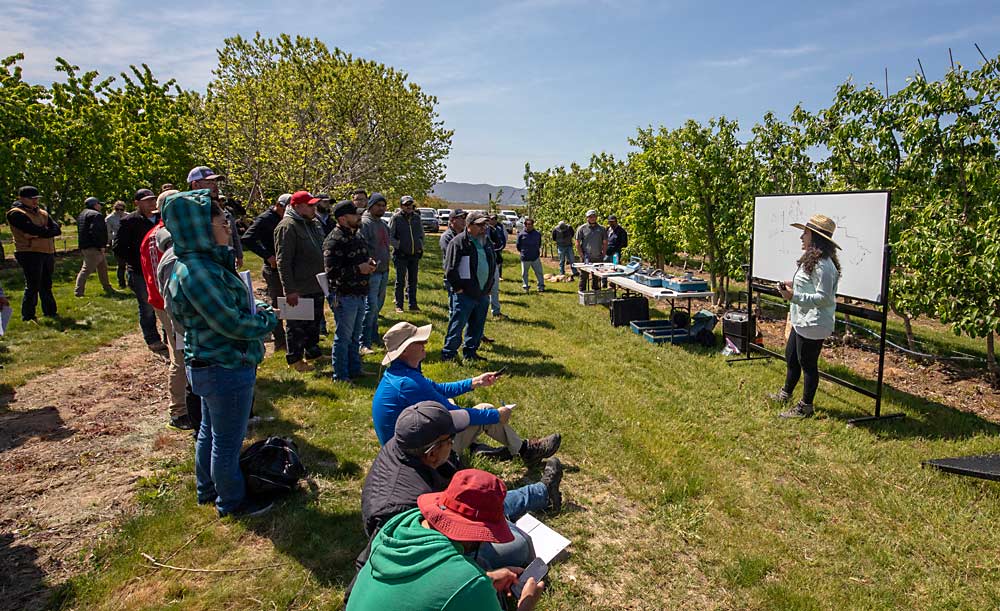 Video showcases Oregon State University irrigation specialist highlighting technology at Washington State University Spanish-language field day