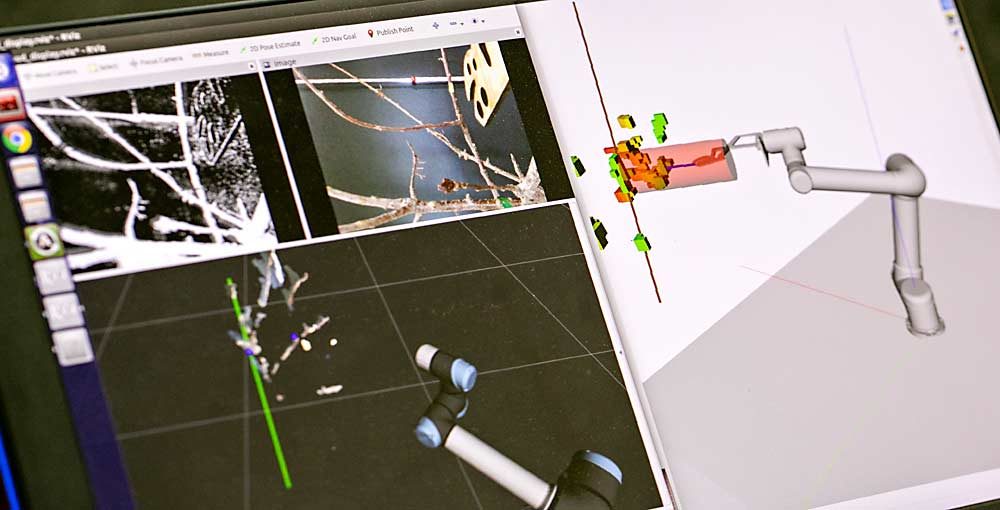 This is what Bhattarai sees on the computer monitor of a prototype robotic pruning vision system. The screen shows several types of information live from the robot’s cameras and sensors, including the tree architecture and robot in 3D space. (TJ Mullinax/Good Fruit Grower)