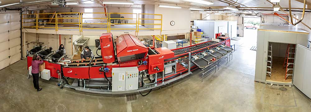 The new optical sorting line allows WSU researchers to more efficiently gather fruit quality metrics for a wide variety of research projects. (TJ Mullinax/Good Fruit Grower)