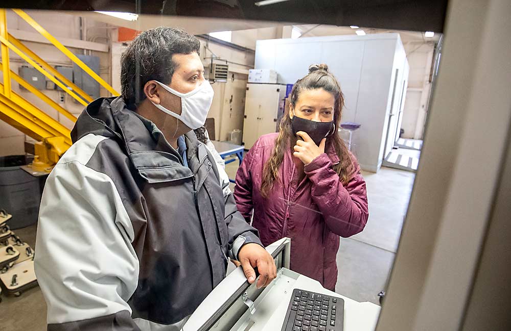 Rene Mogollon, left, and Carolina Torres monitor results from a test run on the new optical sorting line. (TJ Mullinax/Good Fruit Grower)