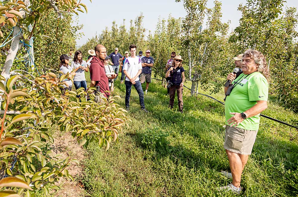 Grower Dain Craver, right, talks about revitalizing struggling trees in an organic pear block during a field day for younger growers at Manzana Stein Orchards in Royal City, Washington, in August 2018. Craver regularly speaks at National Organic Standards Board meetings and encourages other growers to provide comments about materials important to the organic tree fruit industry. (TJ Mullinax/Good Fruit Grower)
