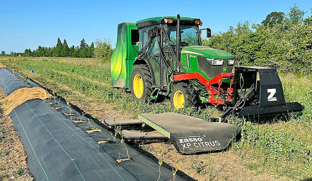 The Zasso weeder in a blueberry field at Oregon State University’s Lewis-Brown Farm in Corvallis last summer. This version of the weeder, called XP Citrus, was developed for South American citrus orchards. (Courtesy Luisa Baccin/Oregon State University)